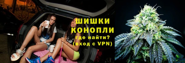 ПСИЛОЦИБИНОВЫЕ ГРИБЫ Михайловка