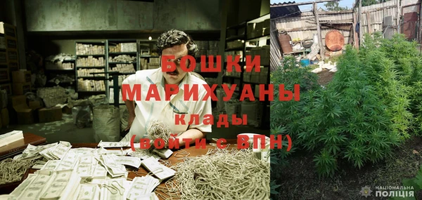 ПСИЛОЦИБИНОВЫЕ ГРИБЫ Михайловка