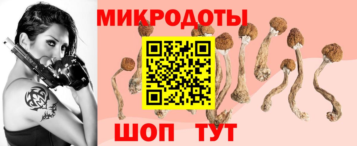 Псилоцибиновые грибы прущие грибы  Псилоцибиновые грибы ЛСД  Махачкала  Вход с VPN 